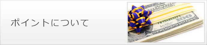 ポイントについて