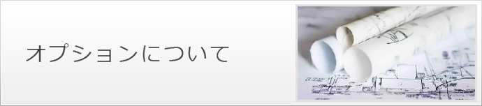 オプションについて